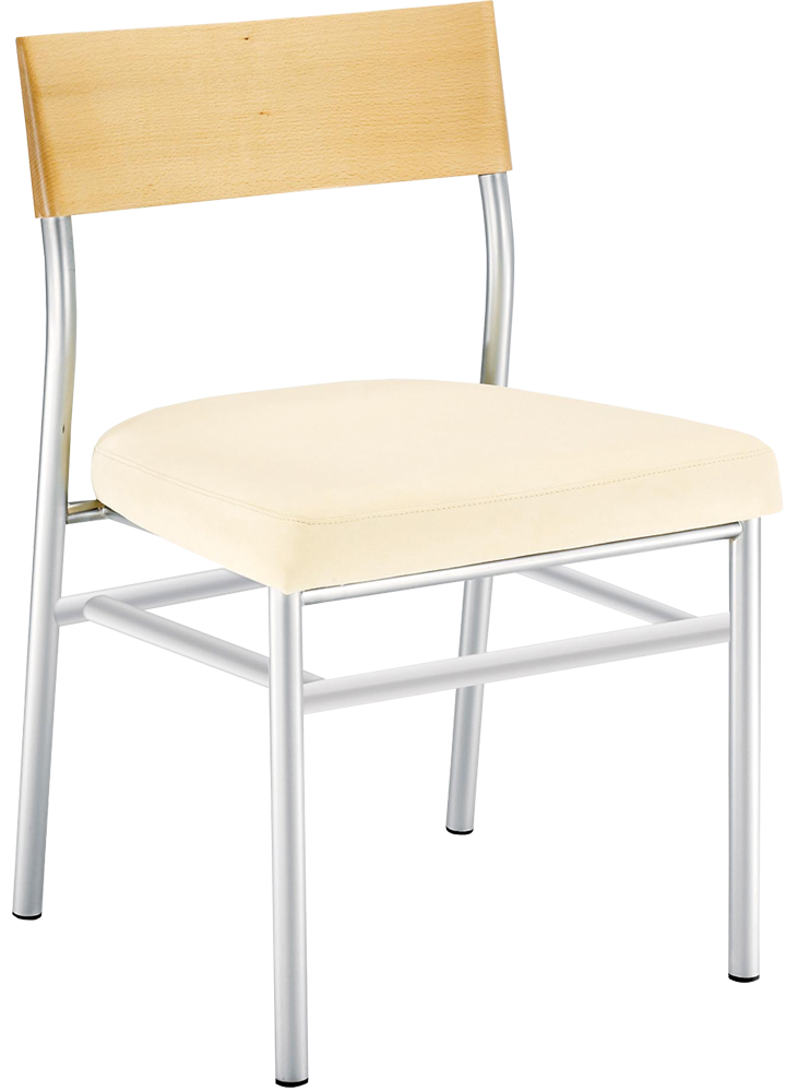 F1600 Metal Side Chair